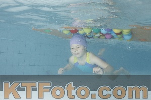 Photo 4229582