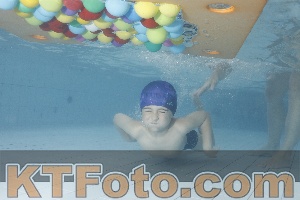 Photo 4229584
