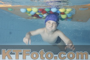 Photo 4229586