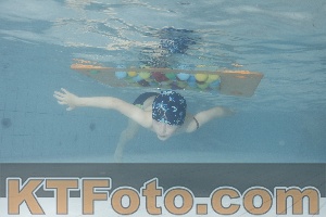Photo 4229591