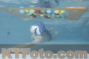 Photo 4229593