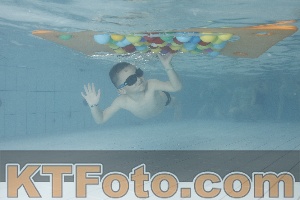 Photo 4229595