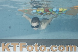 Photo 4229597