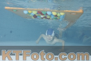 Photo 4229598