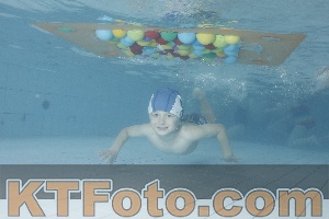 Photo 4229599