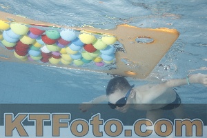 Photo 4229602