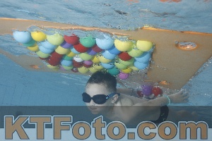 Photo 4229603