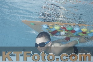 Photo 4229604