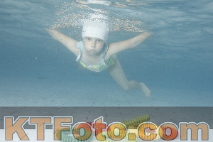 Photo 4229608