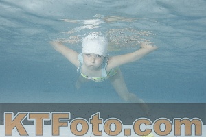 Photo 4229609