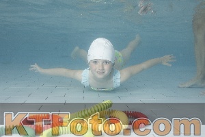 Photo 4229613