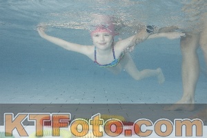 Photo 4229623