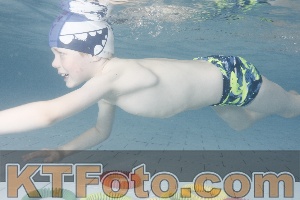 Photo 4229628