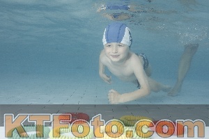 Photo 4229630