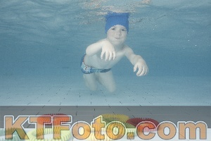 Photo 4229633