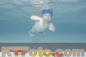 Photo 4229634