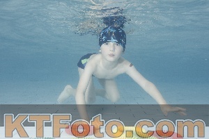 Photo 4229636