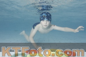 Photo 4229637