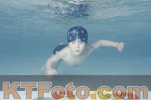Photo 4229638