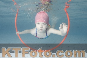 Photo 4229661