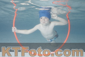 Photo 4229669