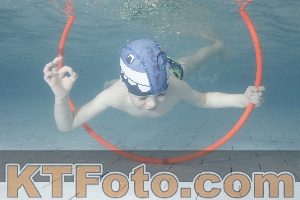 Photo 4229670