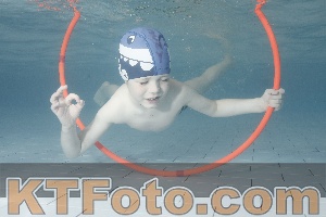 Photo 4229671