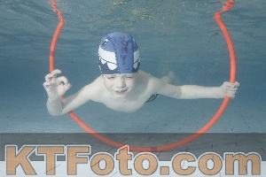 Photo 4229672