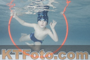 Photo 4229676