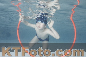Photo 4229678