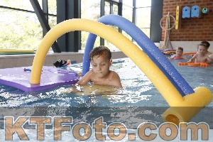 Photo 4229708