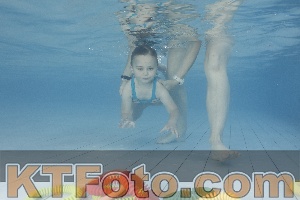 Photo 4229753