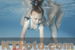 Photo 4229756