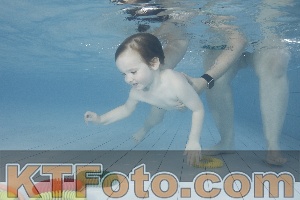 Photo 4229758