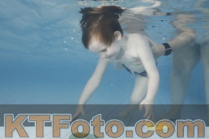 Photo 4229759