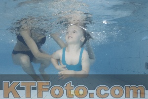 Photo 4229761