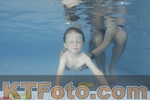 Photo 4229766