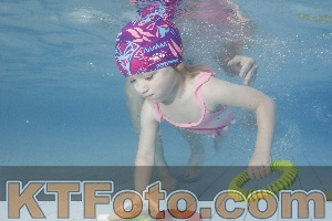 Photo 4229769