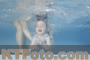 Photo 4229773
