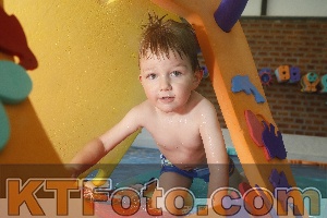 Photo 4229780
