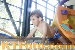 Photo 4229782