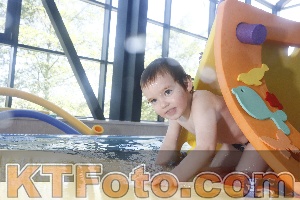 Photo 4229786