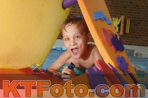 Photo 4229788