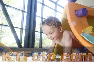 Photo 4229792