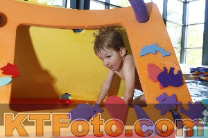Photo 4229795