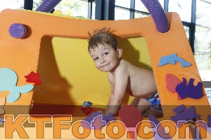 Photo 4229796