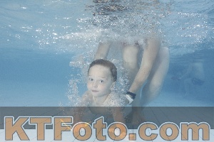 Photo 4229808