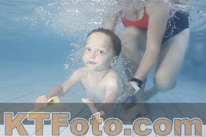 Photo 4229809