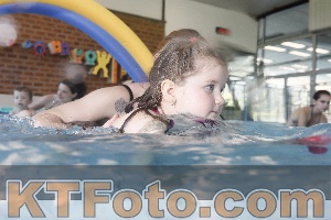 Photo 4229833