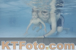Photo 4229881